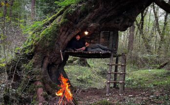 Solo bushcraft in the woods — fire making, shelter building, relaxing.