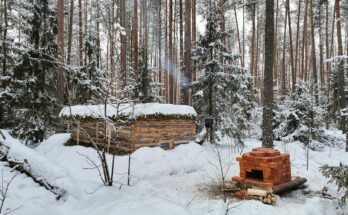 Time-lapse log cabin construction in the wilderness – from foundation to finished home in six months