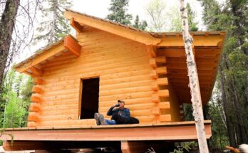 Alaskan log cabin being built in rugged wilderness, showing log-notching, wall assembly, and construction techniques.