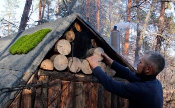 A man constructing a rustic log cabin in the forest, carving logs by hand and installing a round window.